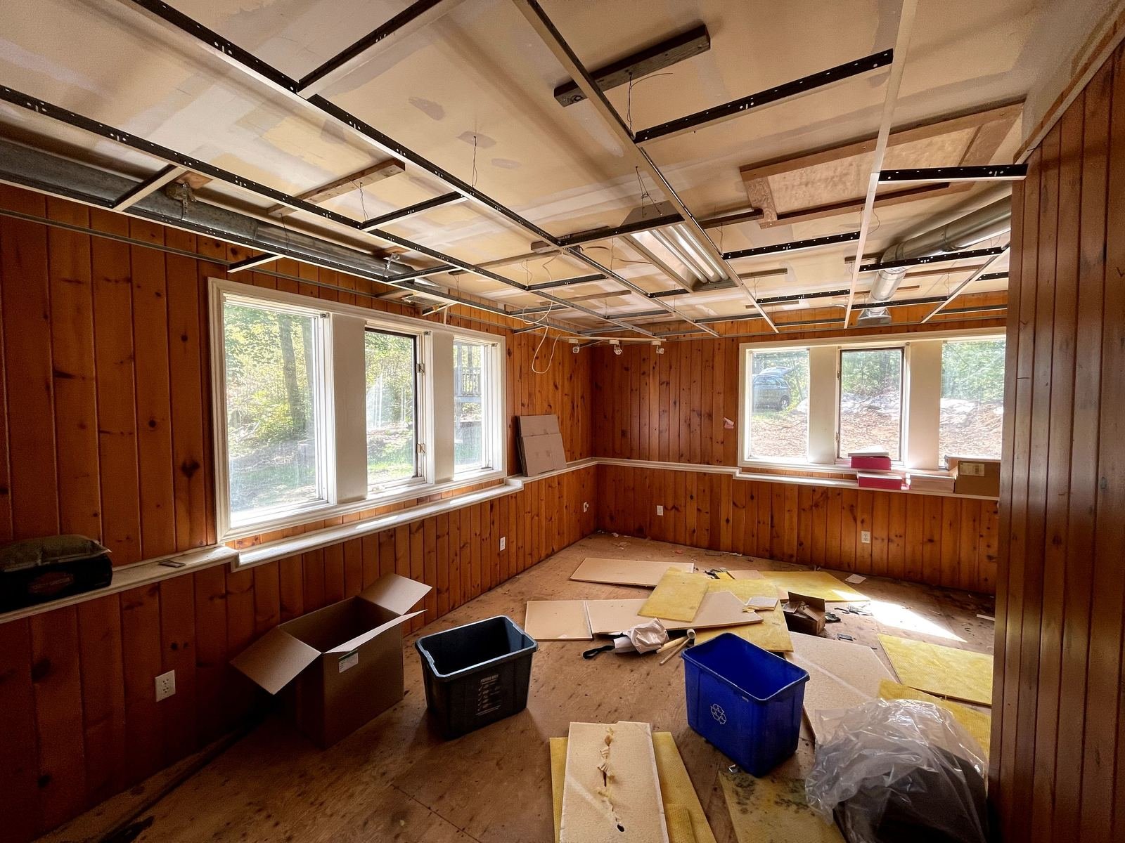 Framing and rough carpentry, ceiling stripped to the joists